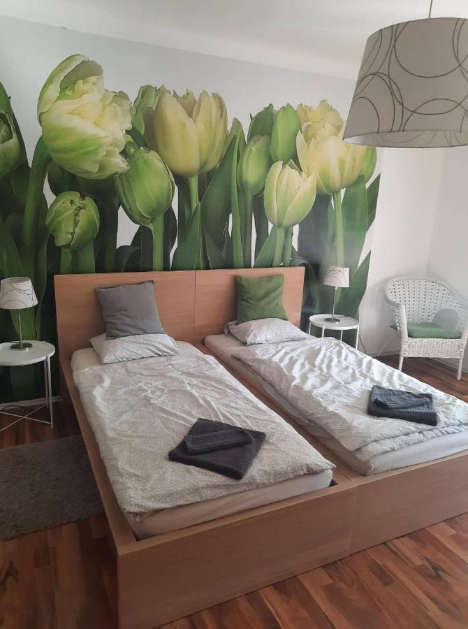 Das Tulpen Apartment ويدن ام سي المظهر الخارجي الصورة