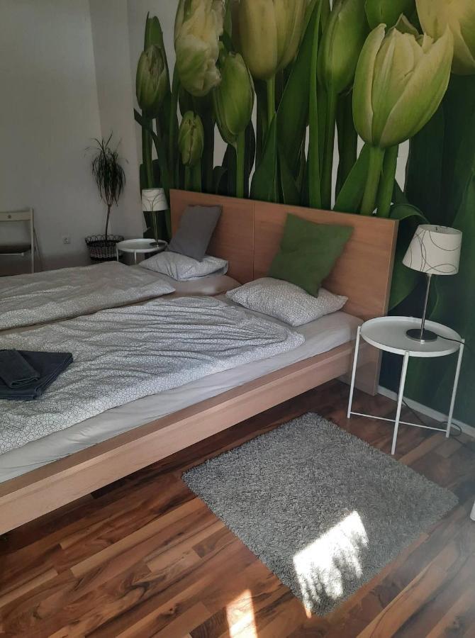 Das Tulpen Apartment ويدن ام سي المظهر الخارجي الصورة